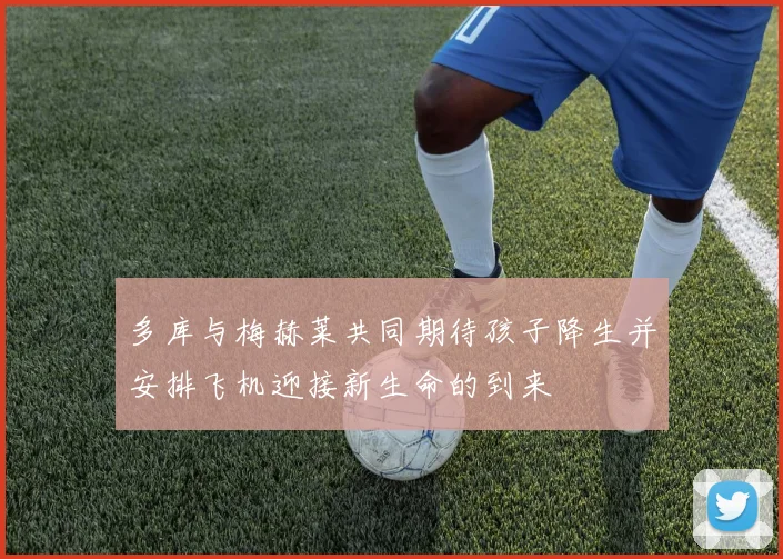 多库与梅赫莱共同期待孩子降生并安排飞机迎接新生命的到来