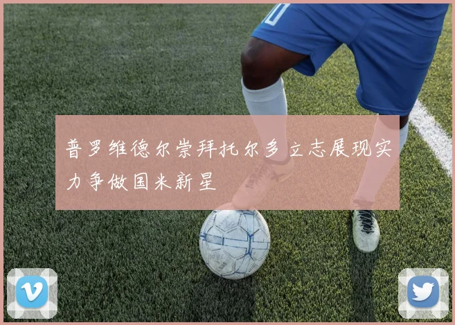 普罗维德尔崇拜托尔多立志展现实力争做国米新星